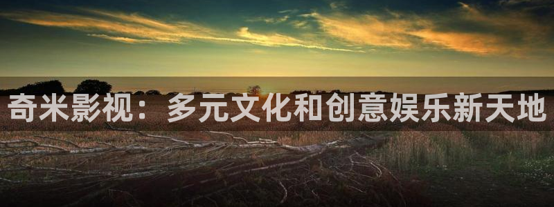 奇奇影院午夜网：奇米影视：多元文化和创意娱乐新天地
