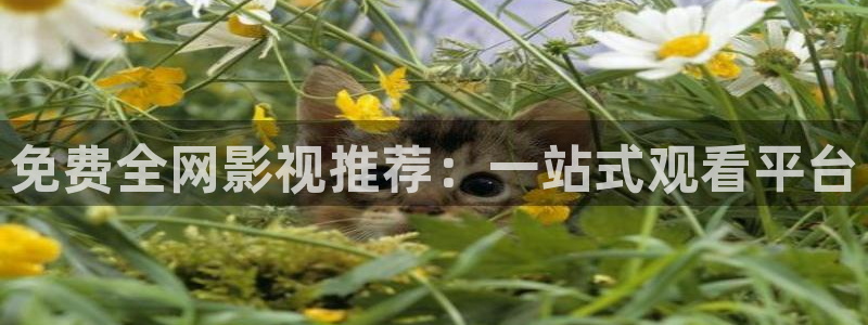 奇奇影院下载：免费全网影视推荐：一站式观看平台