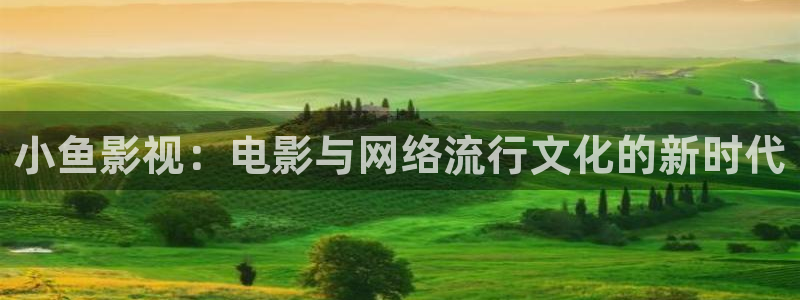 米奇奇米影视：小鱼影视：电影与网络流行文化的新时代