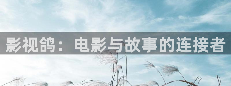 米奇奇米影视：影视鸽：电影与故事的连接者