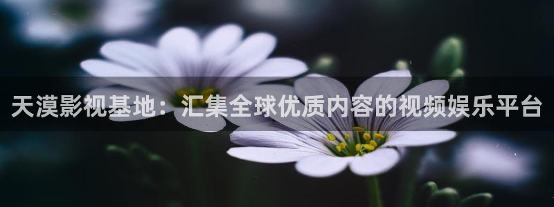 奇奇影院短剧：天漠影视基地：汇集全球优质内容的视频娱乐平台