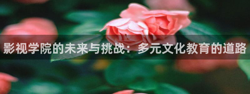 奇奇影院动漫：影视学院的未来与挑战：多元文化教育的道路