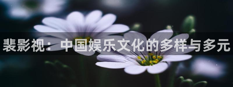 奇奇影院免费观看：裴影视：中国娱乐文化的多样与多元